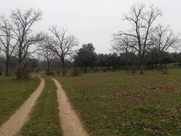 Terreno en camino del Molino de las Viñas s/n thumbnail 2