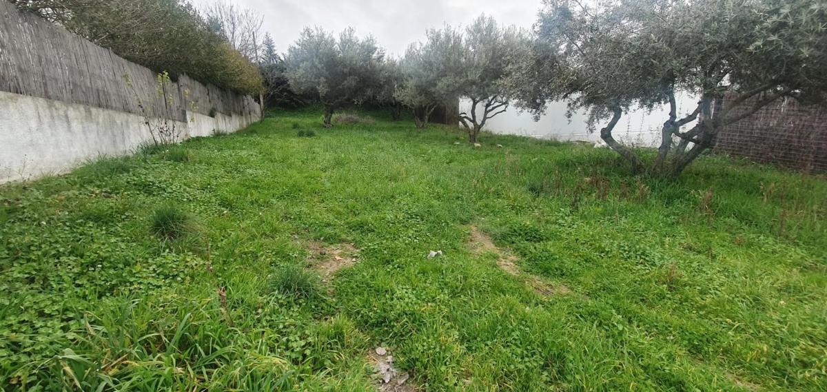 Terreno en venta en Valdepiélagos, Madrid photo 2