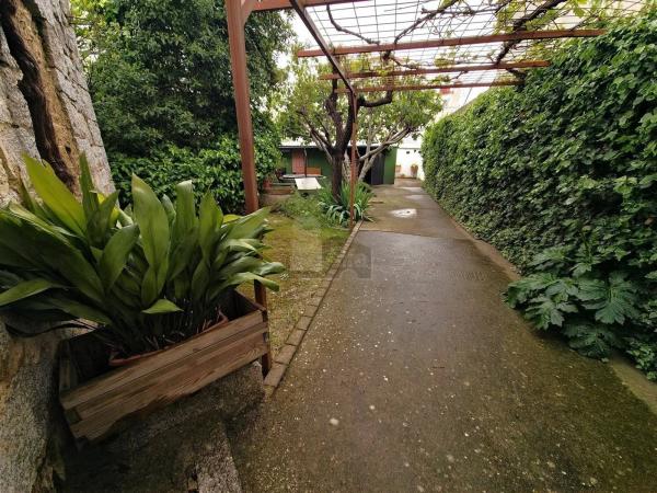 Terreno en Centro photo 3