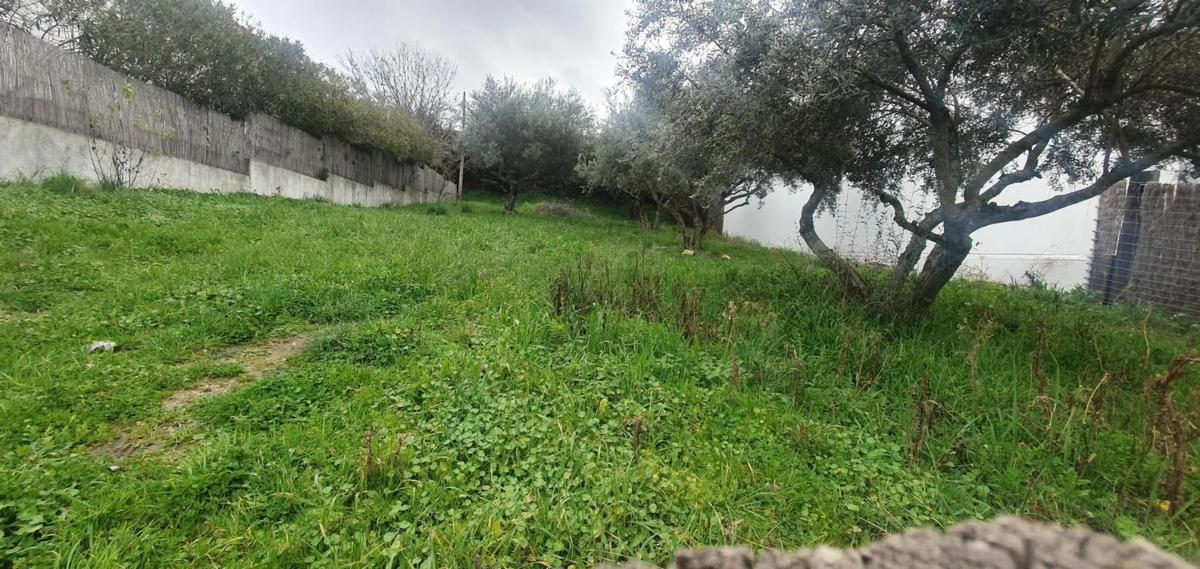 Terreno en venta en Valdepiélagos, Madrid photo 3
