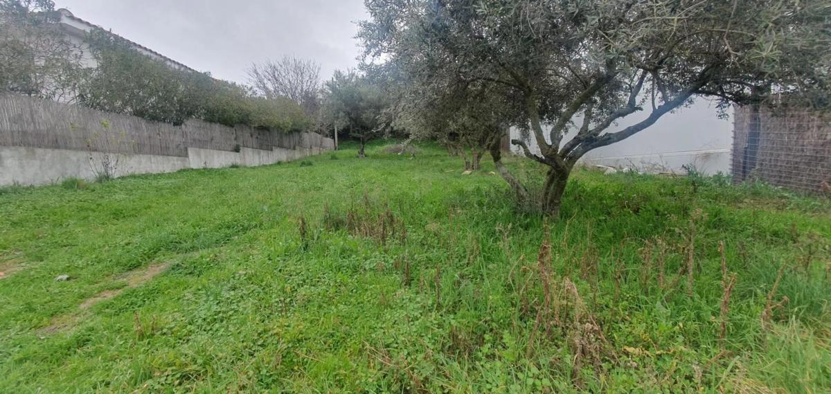 Terreno en venta en Valdepiélagos, Madrid photo 4
