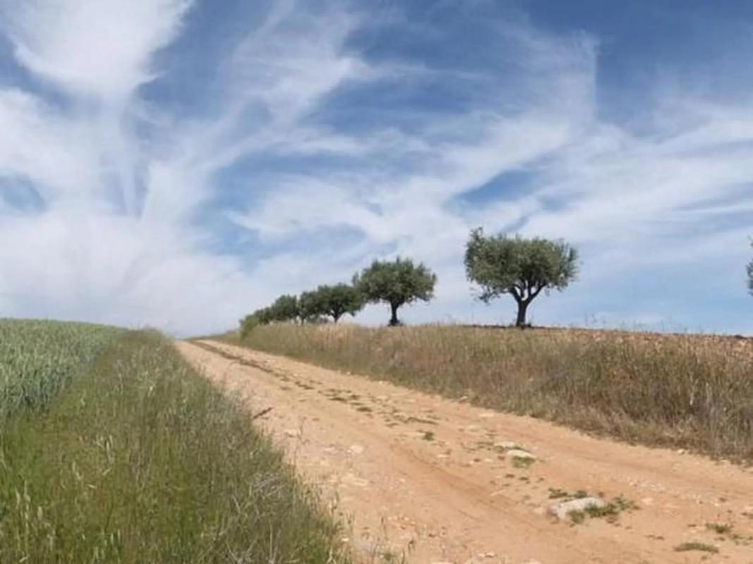Terreno en venta en Valdepiélagos, Madrid photo 5