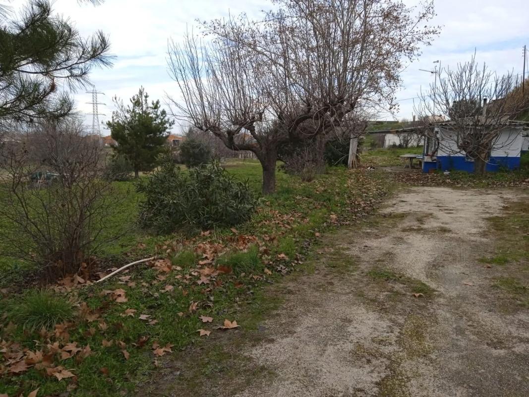 Участок земли на продажу в Паракуэльос-де-Харама, Мадрид photo 5