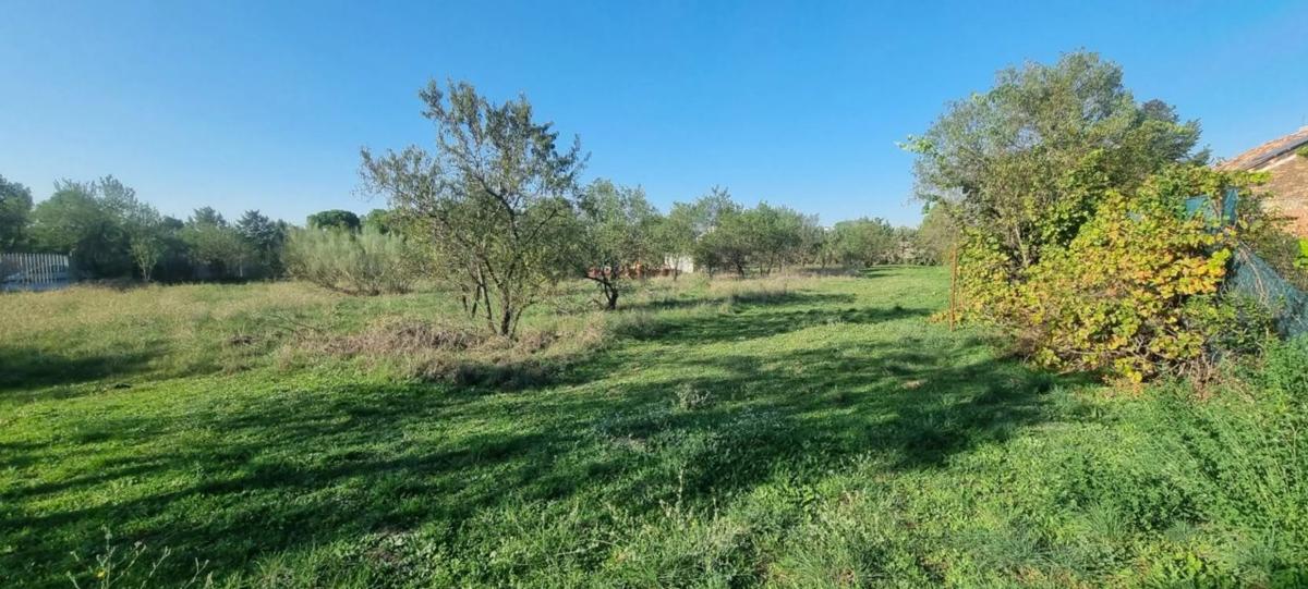 Działka na sprzedaż w Valdetorres de Jarama, Madryt photo 3