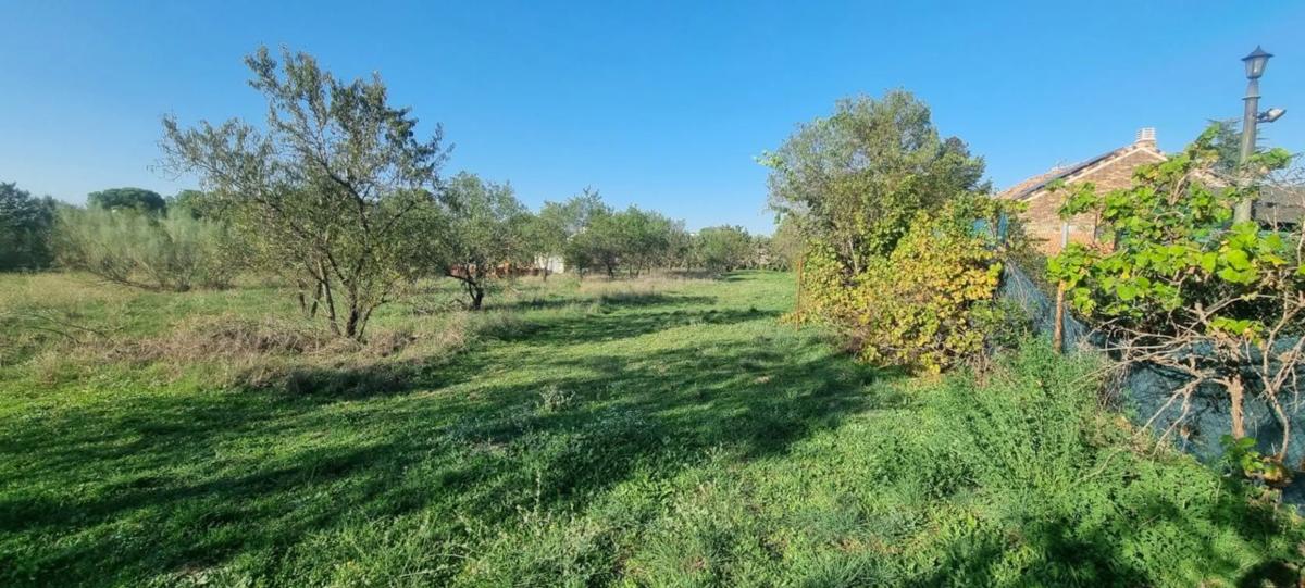 Działka na sprzedaż w Valdetorres de Jarama, Madryt photo 4