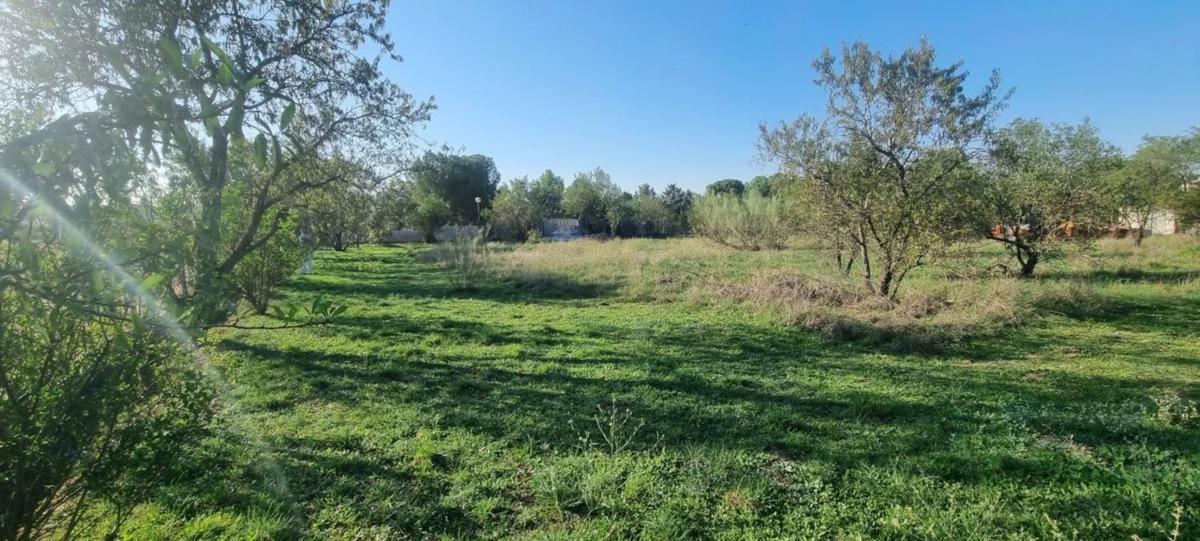 Działka na sprzedaż w Valdetorres de Jarama, Madryt photo 5