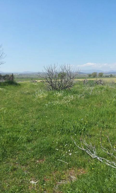 Участок земли на продажу в Вальдеторрес де Харама, Мадрид photo 3
