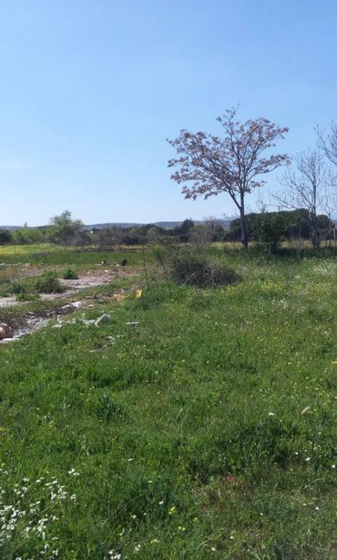 Участок земли на продажу в Вальдеторрес де Харама, Мадрид photo 5