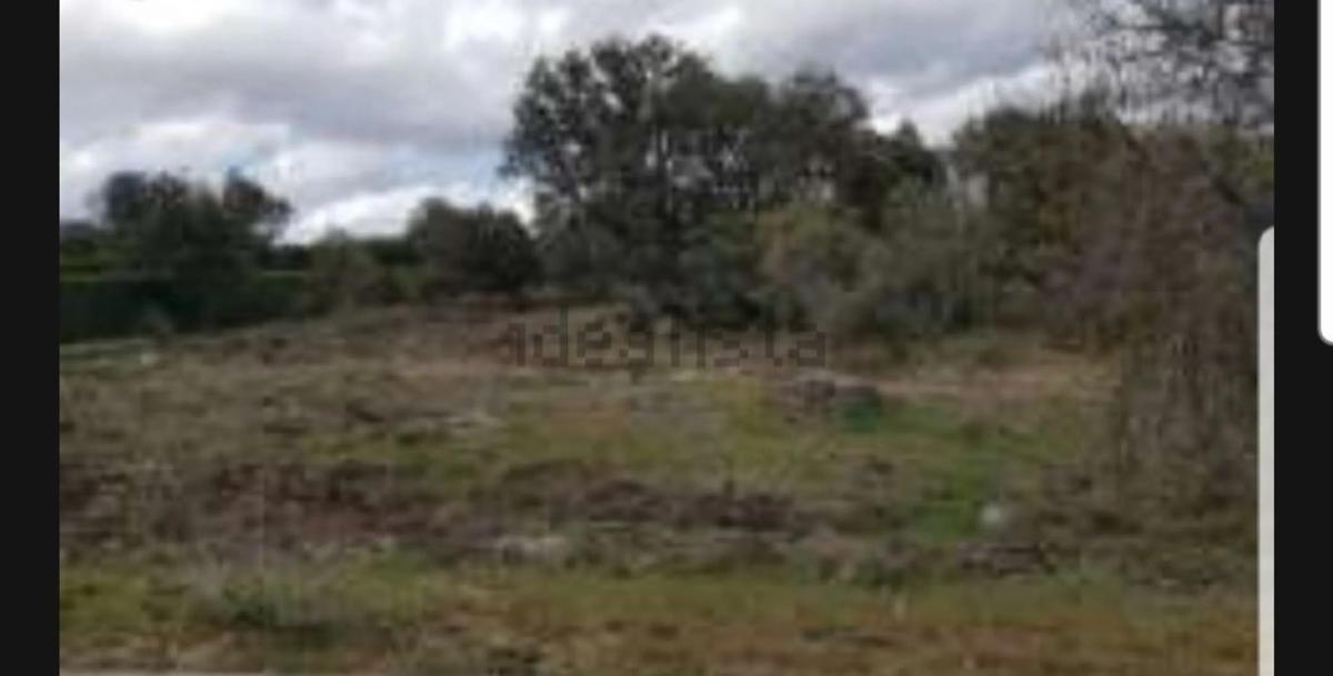 Terreno en venta en El Vellón, Madrid photo 1