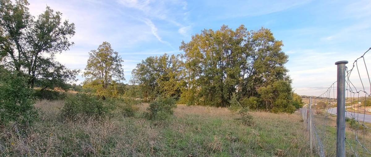Terreno en venta en Guadalix de la Sierra, Madrid photo 2