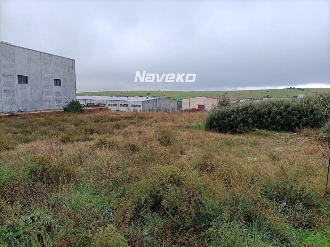 Terreno en venta en Colmenar Viejo, Madrid photo 3