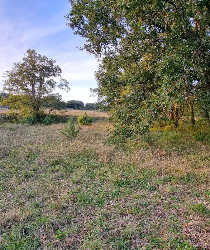 Terreno en venta en Guadalix de la Sierra, Madrid photo 4
