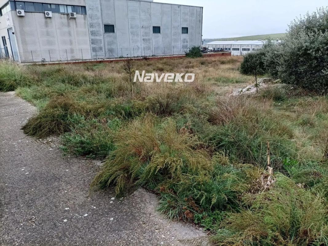 Terreno en venta en Colmenar Viejo, Madrid photo 5