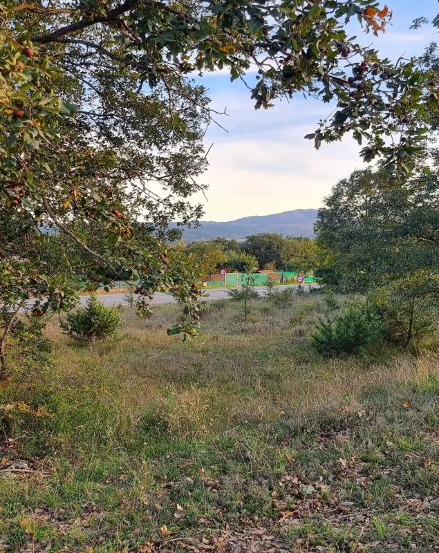 Terreno en venta en Guadalix de la Sierra, Madrid photo 5