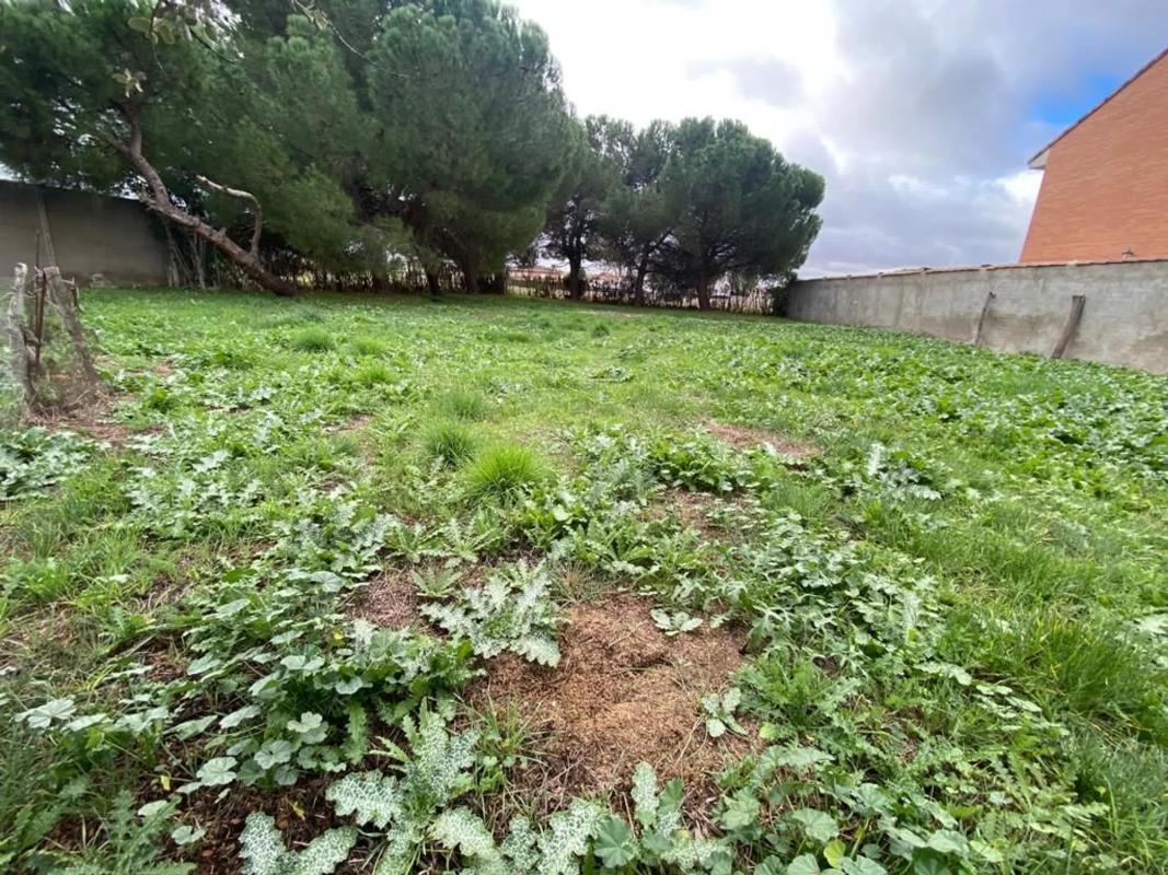 Terreno en venta en Fuente el Saz de Jarama, Madrid photo 3