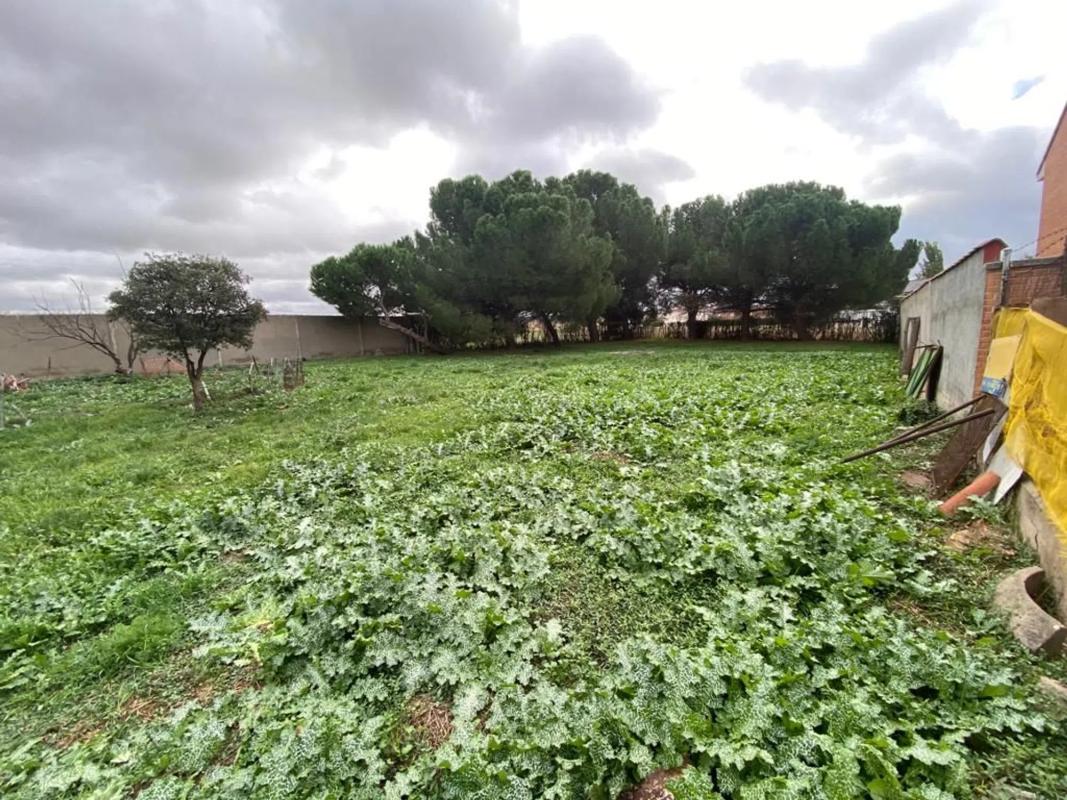 Terreno en venta en Fuente el Saz de Jarama, Madrid photo 5