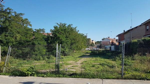 Terreno en olivar s/n thumbnail 2