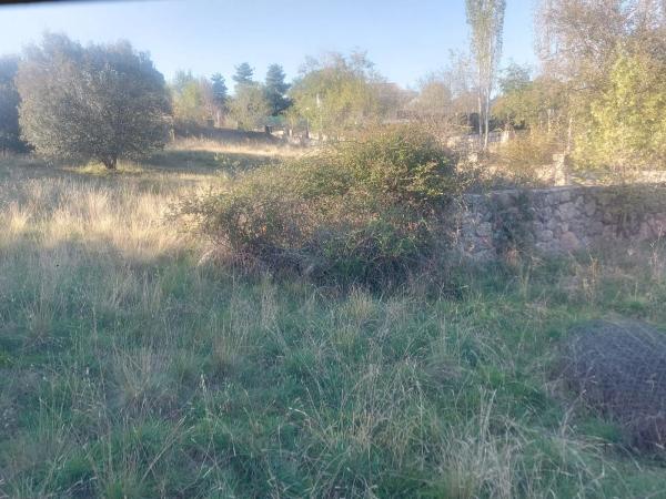 Terreno en Venturada photo 3