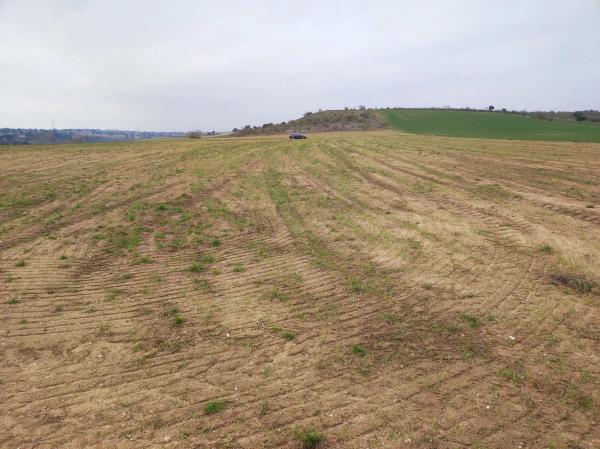 Terreno en via Vereda de Retamar, km 0 photo 2