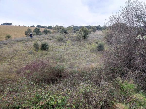 Terreno en M-104 s/n photo 2
