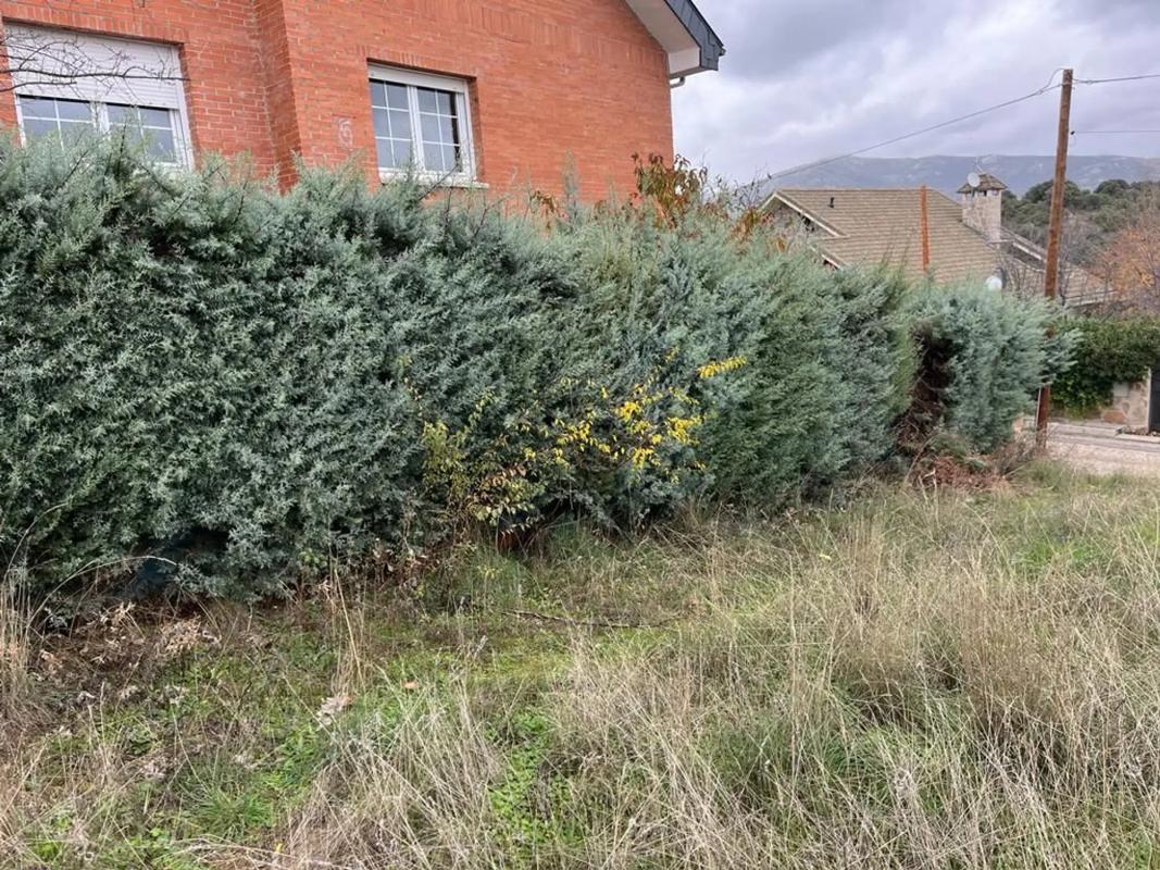 Terreno en venta en Guadalix de la Sierra, Madrid photo 4
