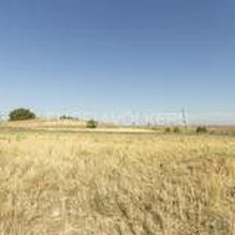 Terreno en Talamanca de Jarama photo 4