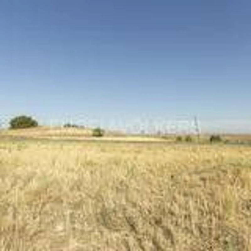 Działka na sprzedaż w Talamanca de Jarama, Madryt photo 2
