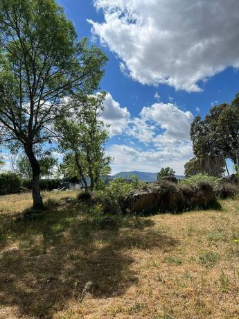 Terreno en calle de la Antigua Cañada Real, km 10 thumbnail 3