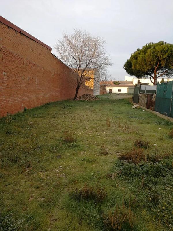Terreno en venta en Fuente el Saz de Jarama, Madrid photo 1