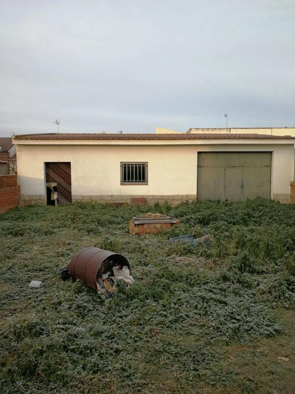 Terreno en venta en Fuente el Saz de Jarama, Madrid photo 4