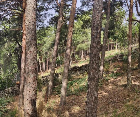 Terreno en calle de la Cumbre, 3 photo 1