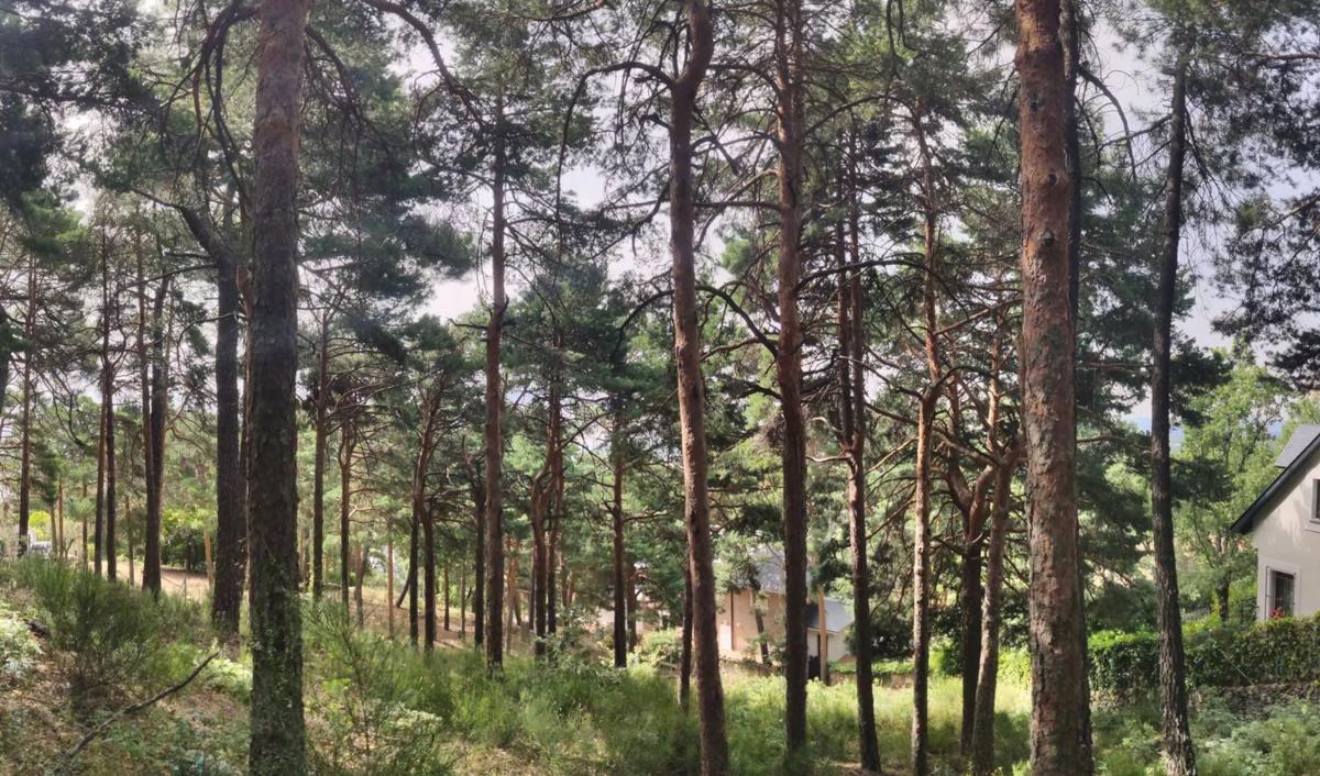 Terreno en venta en Miraflores de la Sierra, Madrid photo 5