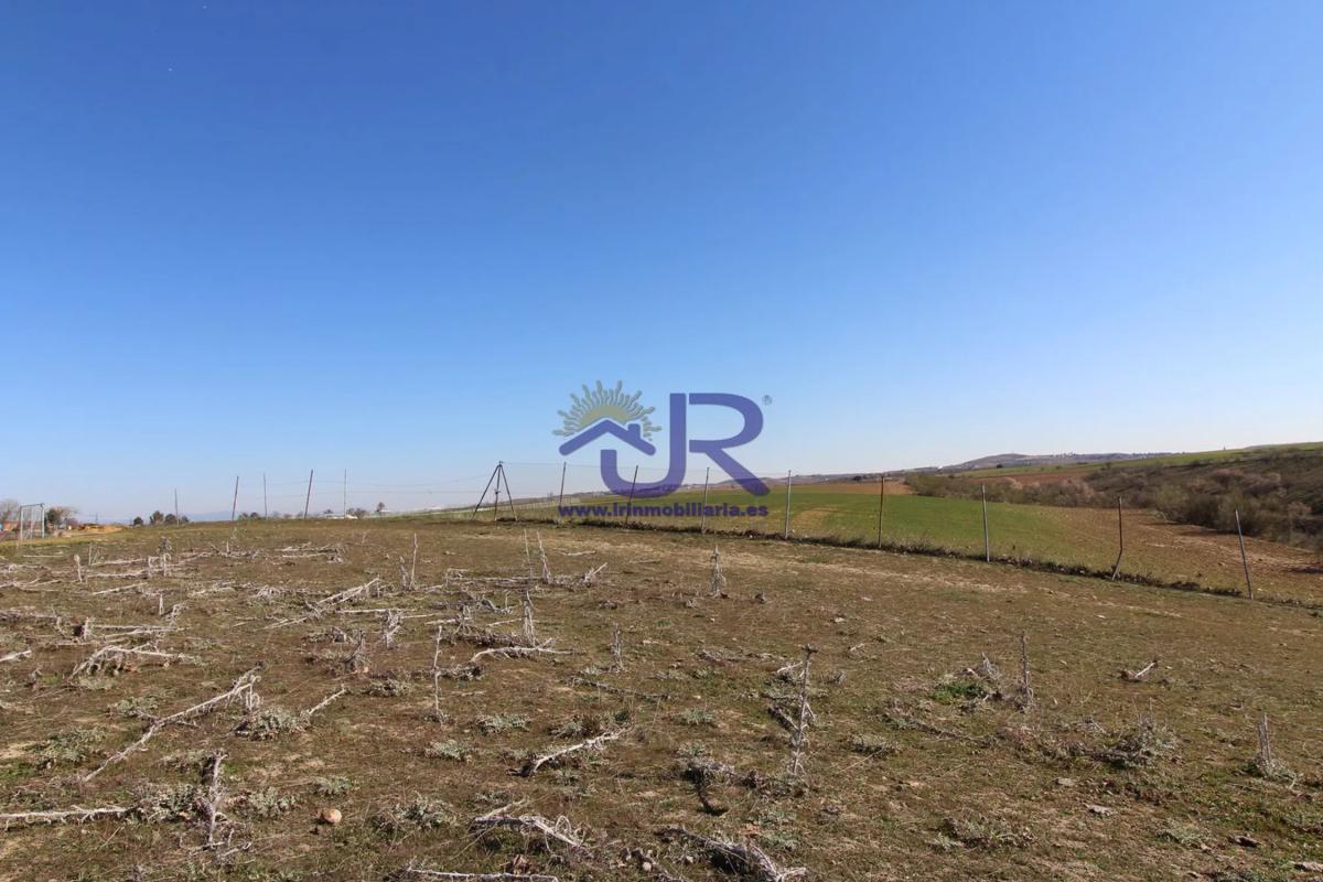 Участок земли на продажу в Паракуэльос-де-Харама, Мадрид photo 1