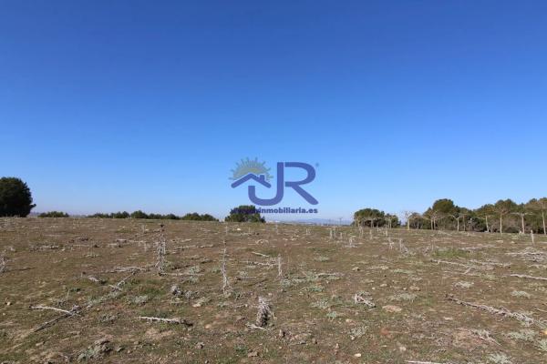 Terreno en Altos de Jarama thumbnail 1