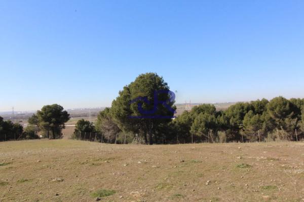Terreno en Altos de Jarama thumbnail 2