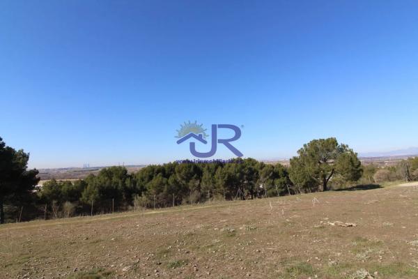 Terreno en Altos de Jarama photo 4