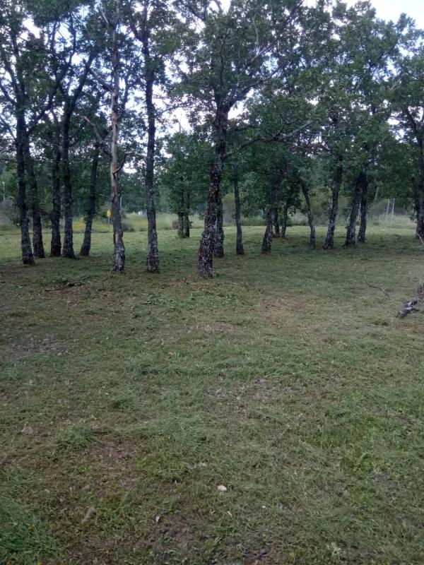 Terreno en venta en Villavieja del Lozoya, Madrid photo 3