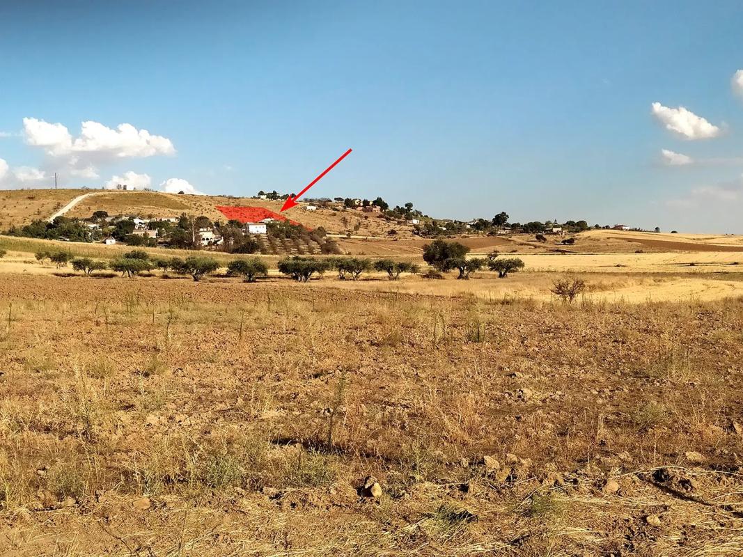 Terreno en venta en Valdepiélagos, Madrid photo 3