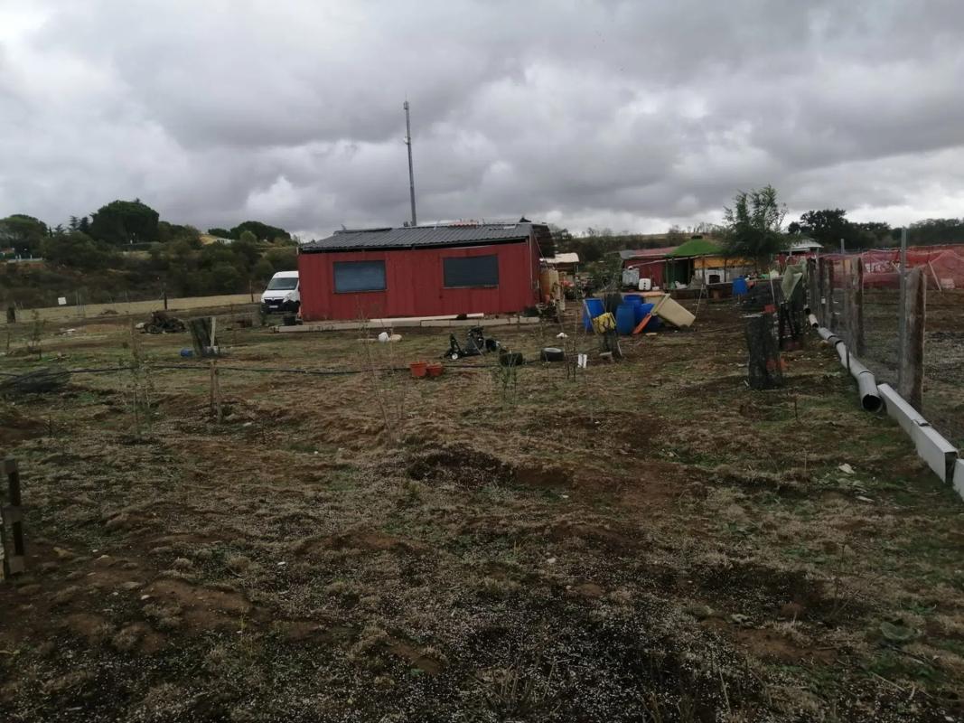 Terreno en venta en Talamanca de Jarama, Madrid photo 5