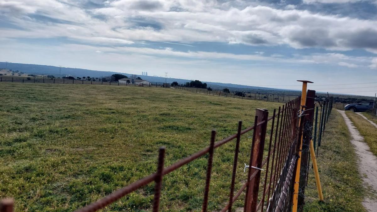 Terreno en venta en Tres Cantos, Madrid photo 5