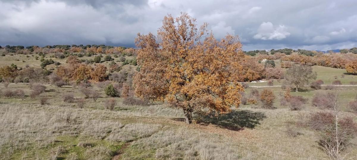 Terreno en venta en Guadalix de la Sierra, Madrid photo 4