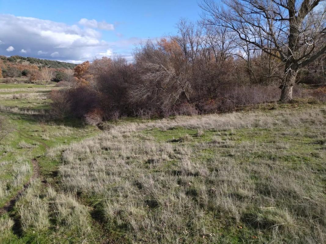 Terreno en venta en Guadalix de la Sierra, Madrid photo 5