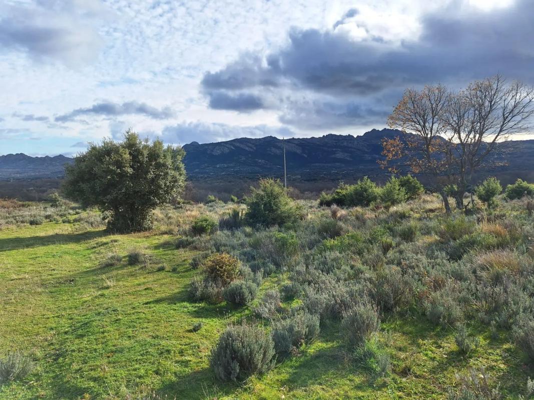 Terreno en venta en Lozoyuela-Navas-Sieteiglesias, Madrid photo 5