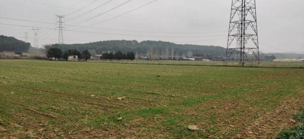 Terreno en M-111, km 1 thumbnail 1