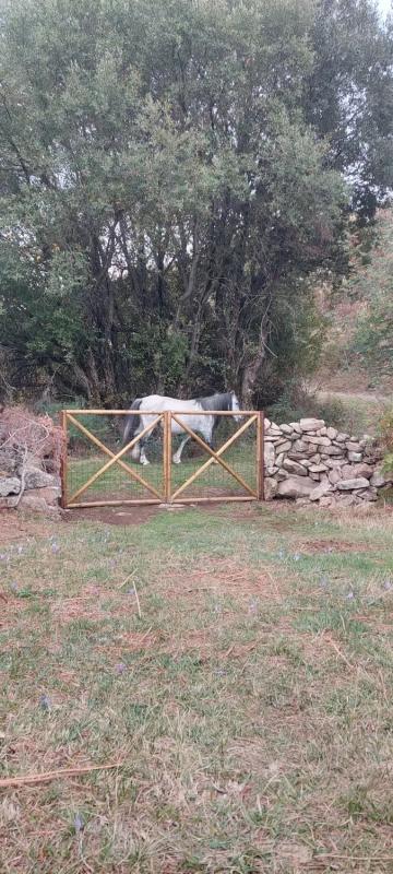 Terreno en venta en La Acebeda, Madrid photo 3