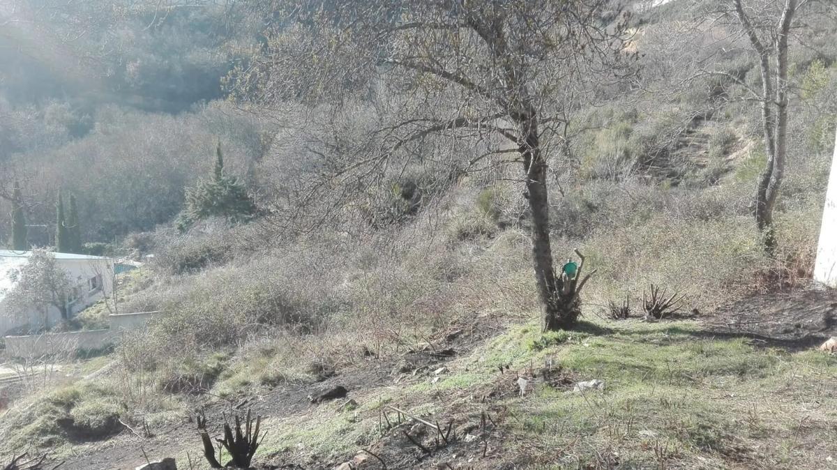 Terreno en venta en Miraflores de la Sierra, Madrid photo 2