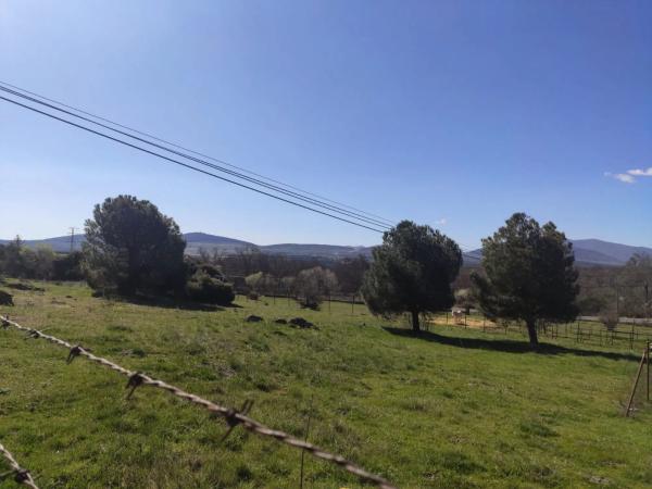 Terreno en Gascones, km 2 photo 2