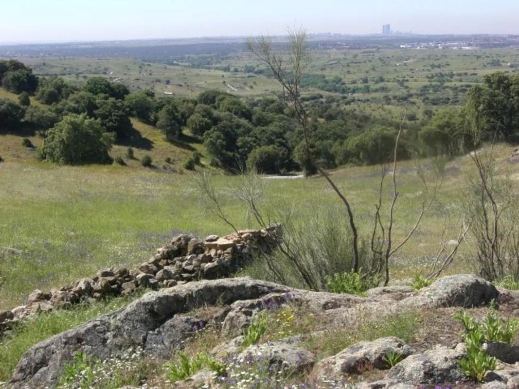 Terreno en venta en Colmenar Viejo, Madrid photo 4