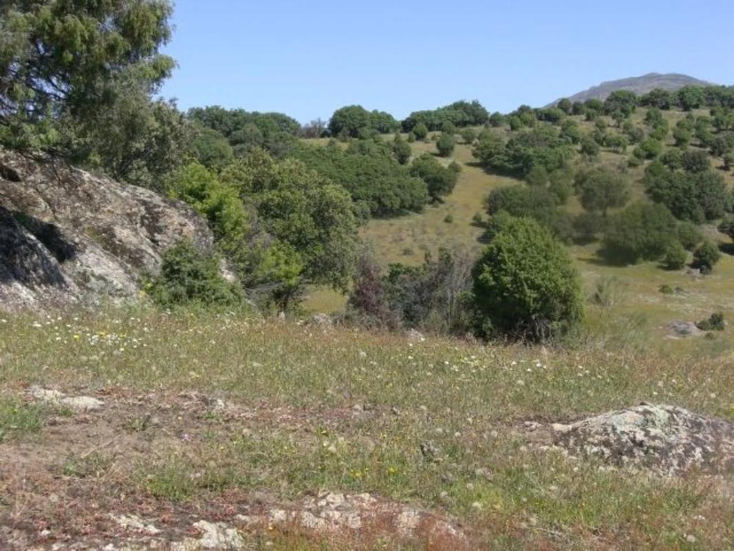 Terreno en venta en Colmenar Viejo, Madrid photo 5