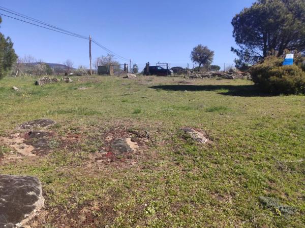 Terreno en Gascones, km 2 photo 4